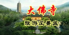 用力插中国浙江-新昌大佛寺旅游风景区